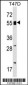 POLA2 Antibody (Center)